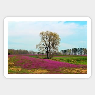 A Colorful Field Sticker